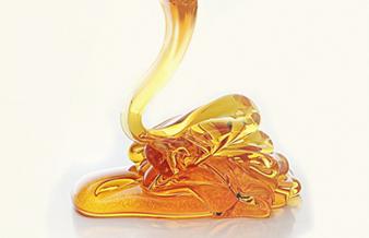 Agentes de cura para resina epóxi - Poliamida